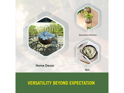 バンブーボウル 7 食品用アイスクリームボウル ココナッツ 32 4 大きなシェル オーガニック