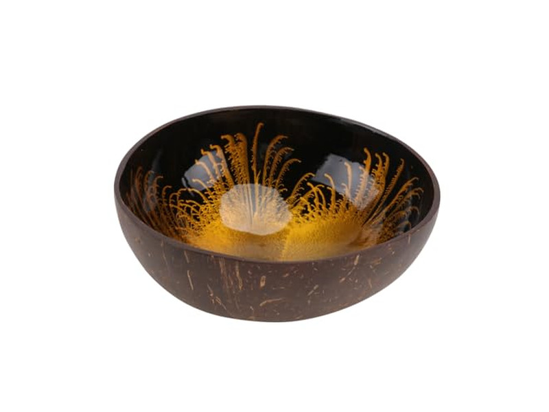 バネトンライナー用ボウルプラスチックキッチンココナッツボウルとスプーンセットスムージー