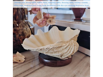 植物用ココナッツボウル 未加工シェル 彫刻 木製ボウルと皿