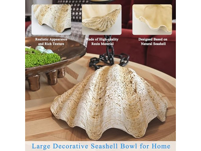 植物用ココナッツボウル 未加工シェル 彫刻 木製ボウルと皿