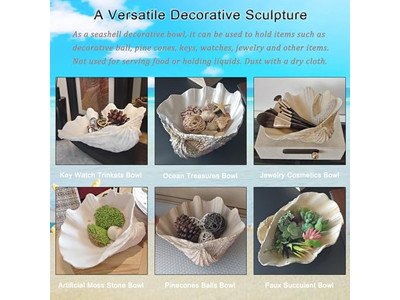 植物用ココナッツボウル 未加工シェル 彫刻 木製ボウルと皿