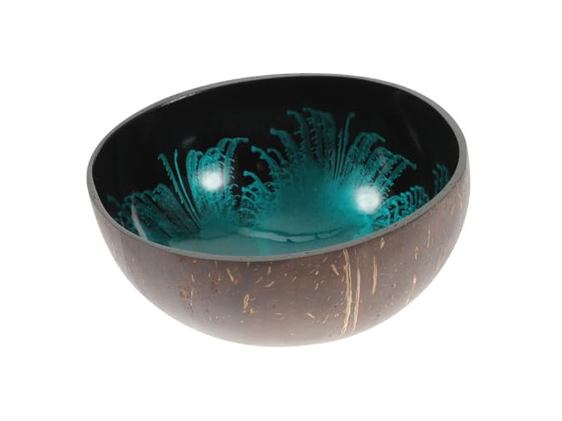 アサイシェルサラコンクリートキーコンテナミニセット用ココナッツボウル