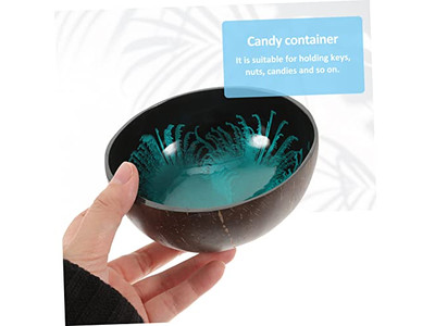 アサイシェルサラコンクリートキーコンテナミニセット用ココナッツボウル