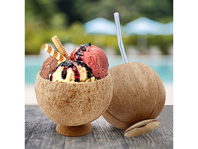 ココナッツシェル製品 スナック皿 スプーン ベトナム 大サイズ ボウル 自社ロゴ