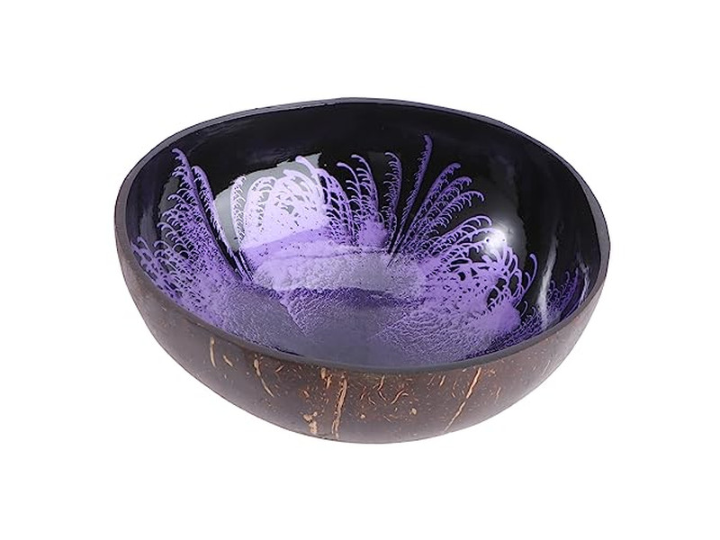 ココナッツシェル未加工キー収納手作りサービングボウルセット 大サイズ生