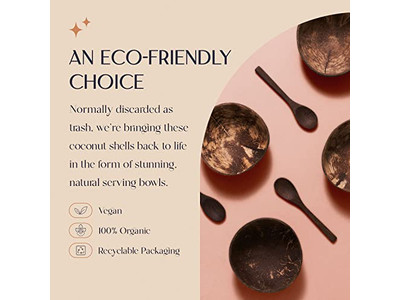 ココナッツスープボウル ロゴジャー ボウル ベビー バリ ボヘミアン バルクセット 生セット 11Cm ナイスハーフ