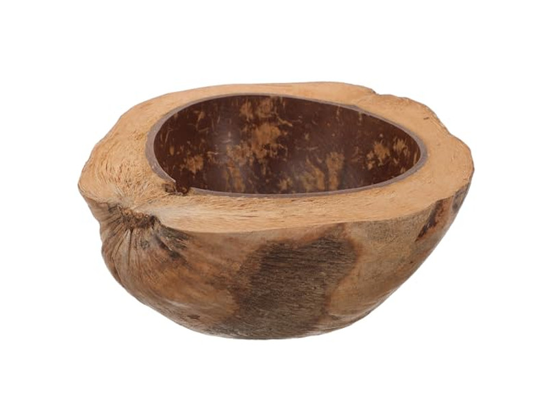 卵殻ココナッツボウル スムージー カラフル メラミン 子供用 セールボウル レシピ