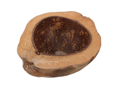 卵殻ココナッツボウル スムージー カラフル メラミン 子供用 セールボウル レシピ