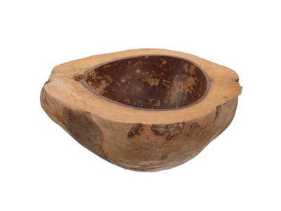 卵殻ココナッツボウル スムージー カラフル メラミン 子供用 セールボウル レシピ