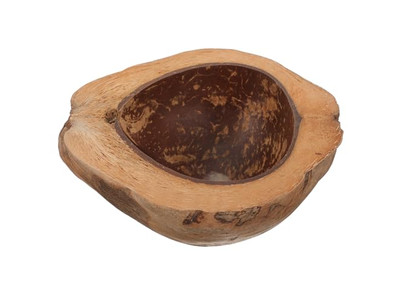 卵殻ココナッツボウル スムージー カラフル メラミン 子供用 セールボウル レシピ