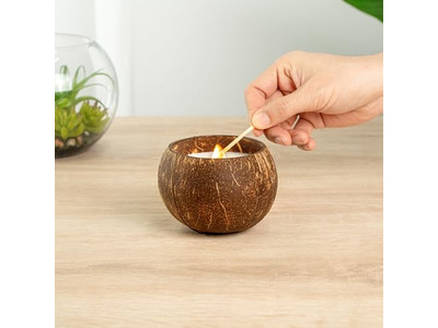 新鮮なオーガニックココナッツ販売ココナッツシェル手作りココボウルワックス