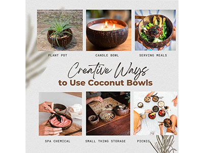 ジャンボサービングボウル サラダボウル シェル 500Ml ココナッツシェル バルク 木製キャンドル