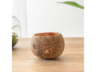 蓋付きサラダボウル カラフルココナッツ ペット用 健康的で耐久性のある ベトナムトレンドボウル