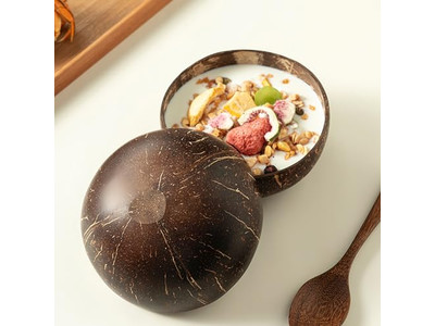 サービングボウル バンブーボウル ココナッツ ココナッツフォーク ココパーム皿 スプーン スタンド プレート