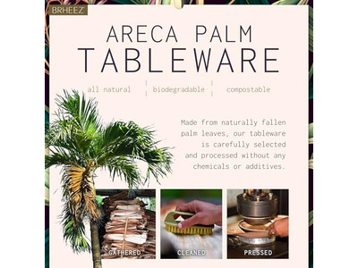 ホルダー付きビーガンココナッツシェルボウル ナチュラルログ ベトナムの安価なボウル