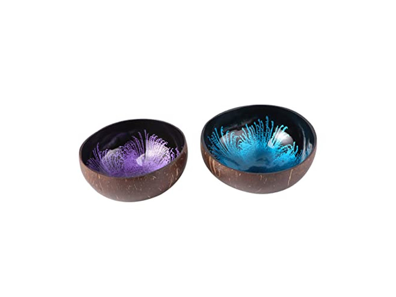 パターンシェルサラダ用ココナッツボウル カスタムメイドボウル 高品質