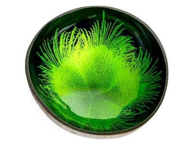 エコフレンドリーボウルセット 手作り木製ボウル ココナッツスープ用 ダイヤモンド型