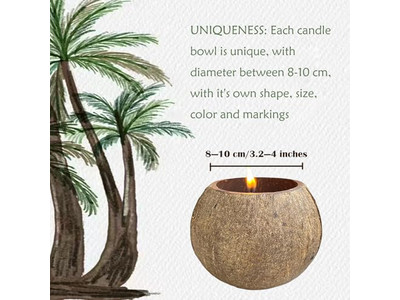 エコフレンドリーなティントボウルラウンドピザ生地装飾サラダボウルココナッツ