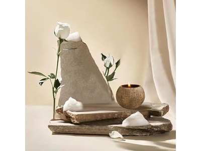 エコフレンドリーなティントボウルラウンドピザ生地装飾サラダボウルココナッツ