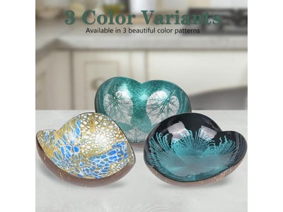 木製ボウルセット 大きなココナッツ 生の蓋 ホットデコレーション 手作り製品